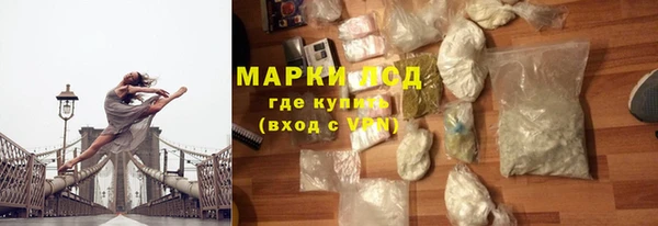 стаф Аркадак