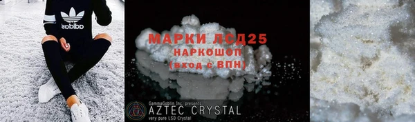 стаф Аркадак