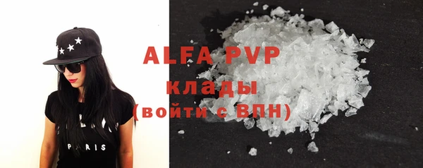 стаф Аркадак