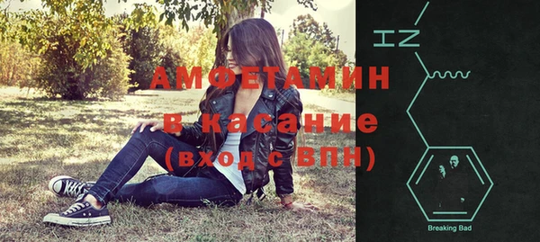 стаф Аркадак