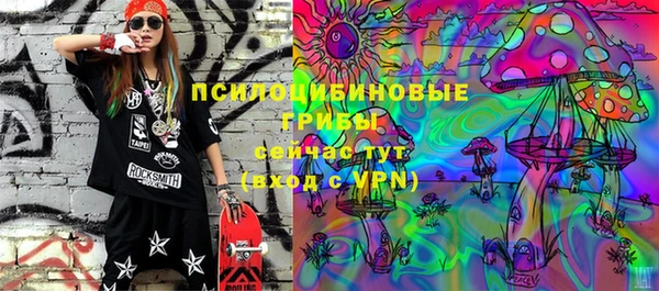твердый Армянск